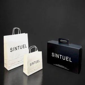baskılı kağıt çanta ve e-ticaret kutusu